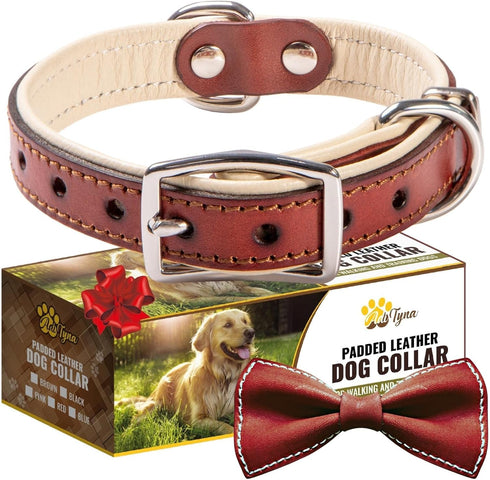 ADITYNA Heavy-Duty Premium Leather Dog Collar for Small Dogs, Padded with Soft Genuine Leather for Comfort