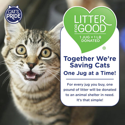 Cat's Pride Max Power Total Odor Control Multi-Cat Litter, 15 Pounds - 10 Days Odor Control, Strong Clumping