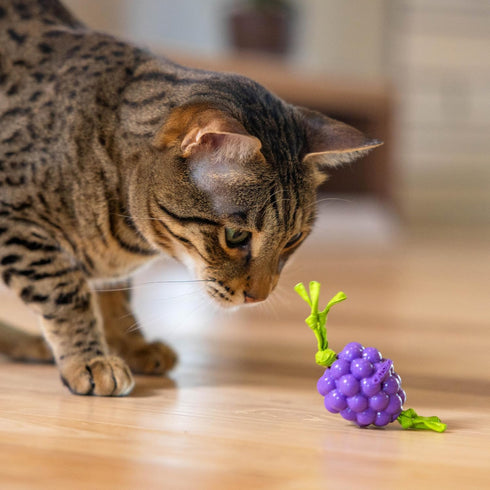 Catstages Bouncing Grape Teether Toy for Cats - Soft Chew with Catnip Coating