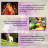 Dog Multivitamin Treats, 15 in 1 Tablets with Glucosamine, Cranberry, Milk Thistle, Supports Joint & Digestion