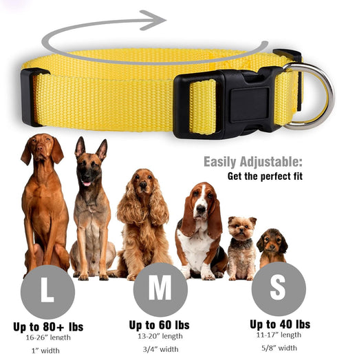 Native Pup Basic Nylon Dog Collar, Adjustable for Small Medium Large Pets, Cute Colors for Boys and Girls (Medium,