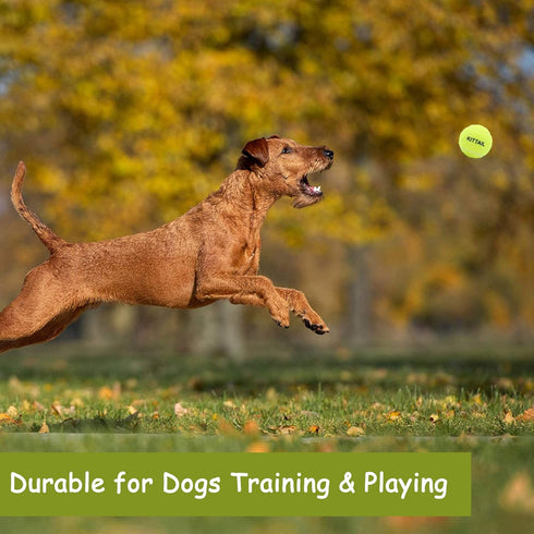12 Pcs Squeaky Tennis Balls for Dogs - 2.58" Interactive Toys, Safe and Durable for Small Medium Large Dogs
