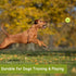 12 Pcs Squeaky Tennis Balls for Dogs - 2.58" Interactive Toys, Safe and Durable for Small Medium Large Dogs
