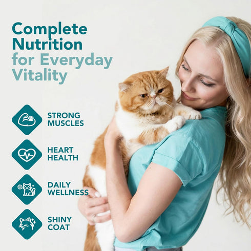 Pack 3 3oz (Pack 12) Chewer's Joy Wet Cat Food Variety High-Protein, Grain-Free, Natural Pate Canned Food - Premium