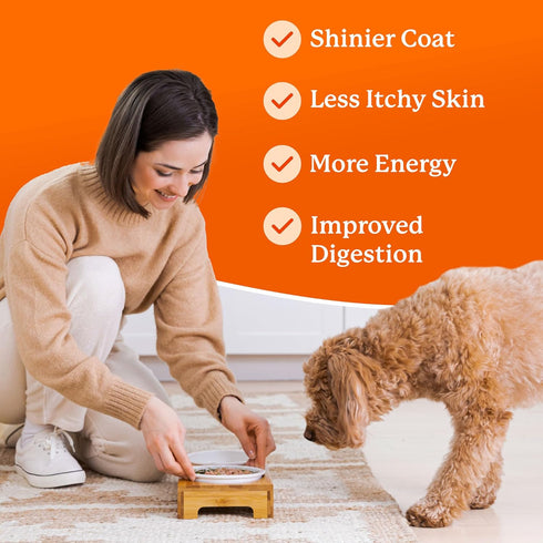 Dr. Harvey's Veg-to-Bowl Fine Ground Dog Food, Human Grade Dehydrated Base Mix, Grain Free Holistic Mix for Small Dogs