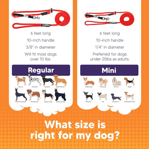 Heather's Heroes Sidekick Dog Headcollar with Leash, Effective Training Tool for Leash Reactivity, Red, Mini