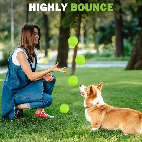 12/24/36/80 Pack FURWEY Tennis Balls, Bulk Tennis Balls Pressureless Tennis Ball, Come with Mesh Bag for Easy