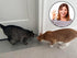 Carpet Scratch Stopper to Prevent Cats from Scratching Carpets at Doorways - 5 Year Warranty