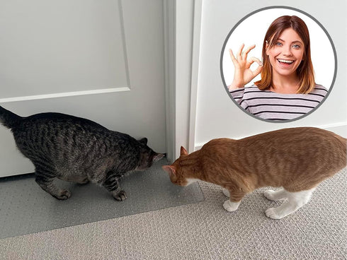 Carpet Scratch Stopper, Precut to Fit Your Door, Stop Cats from Scratching Carpets Instantly, 5 Year Warranty