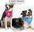 Pavilion Gift Company Big Brother Blue Paw Print Large Dog Slip on Collar Bandanna