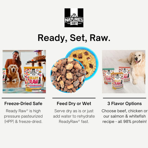 96% Nature's Diet Ready Raw : Freeze-Dried Raw Dog Food, Chicken, Human Grade, High Pressure Pasteurized (HPP), Meat