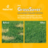 NaturVet GrassSaver Wafers for Dogs – 300 Wafers, Healthy Supplement with B-Complex Vitamins & Amino Acids