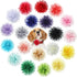 WILLBOND 20 Pcs 12 Cm/4.7 Inch Pet Flower Collar Bow, Multi Color Soft Chiffon Bow Tie Charms for Dog Grooming