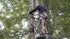 Hunter Safety System Lineman's Climbing Strap, Comfortable Durable Hunting Gear