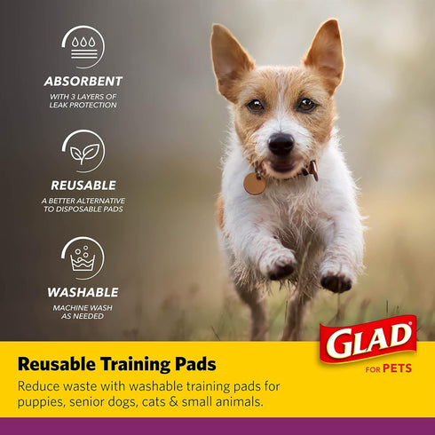 GLAD for Pets Washable Training Pads, Medium Size (24”x36”), 2 Pack Gray with Paw Prints, Re-usable Cloth Pads