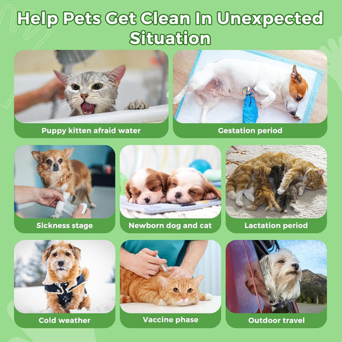 Extra Thick Pet Bathing Wipes for Dogs & Cats, Cleaning & Deodorizing Grooming Gloves, 2 Pack, 12 PCS