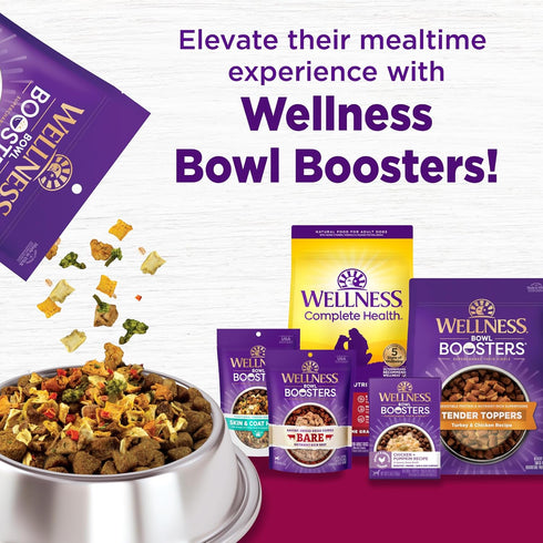 Wellness Complete Health Small Breed Dry Dog Food - 4-Pound Bag - Real Turkey for Dogs Up to 25 lbs.