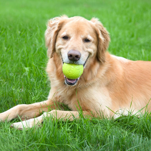 Chew King Glowing Fetch Ball, 3" Dog Ball Toys Combo