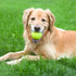 Chew King Glowing Fetch Ball, 3" Dog Ball Toys Combo