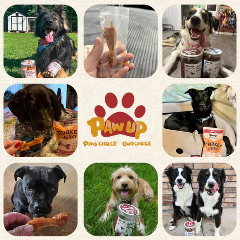 (36 2 Count) PAWUP Turkey Dog Treats, Turkey Wrapped Beef Tendon, Rawhide Free, Bone-Shaped Sticks Turkey Treats