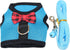 Rypet Guinea Pig Harness and Leash - Soft Mesh Small Animal Harness with Safe Bell, No Pull Comfort Padded Vest