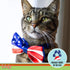 Licks Pill-Free Senior Cat Supplement - Joint Support & Digestion for Older Cats - 10 Use
