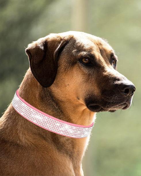 Petank Dog Collar for Small Medium Large Dogs,Small Dog Collar for Female Dogs, Bling Girl Dog Collars, Pink Dog Collar, Rhinestone Puppy Collars (M, Pink)