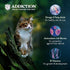 Addiction Salmon Bleu Cat Dry Cat Food, Complete and Balanced Diet, Skin and Coat Health, 4 lb (2 Packs)