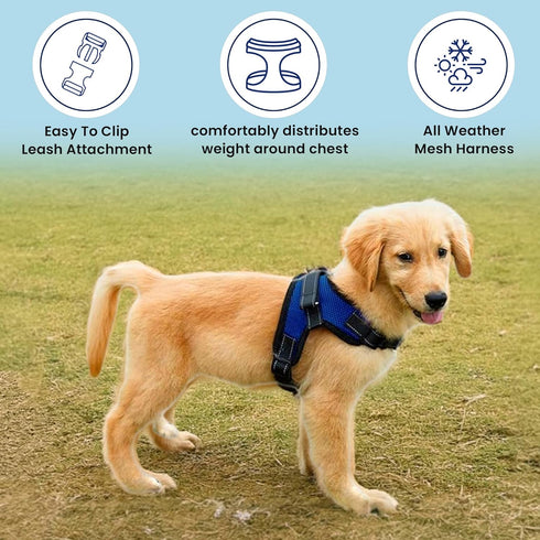 No Pull Reflective Adjustable Dog Harness with Handle - Comfortable Soft All Weather Mesh for Small, Medium, Large Dogs