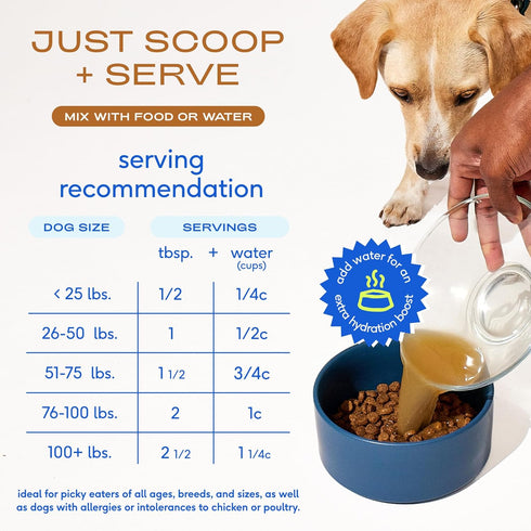 Immunity Health-192 Native Pet Bone Broth for Dogs and Cats - Made with Real Beef Bone Broth, Dog Food Toppers