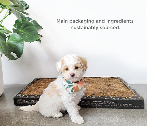 Disposable Dog Potty, Multi-Use Odor Neutralizing Non-Leaking Solution for Indoor/Outdoor Use