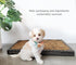 Disposable Dog Potty, Multi-Use Odor Neutralizing Non-Leaking Solution for Indoor/Outdoor Use