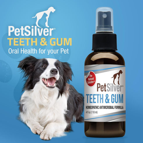 PetSilver Teeth & Gum Spray for Dogs and Cats, Natural Breath Freshener, 4 oz
