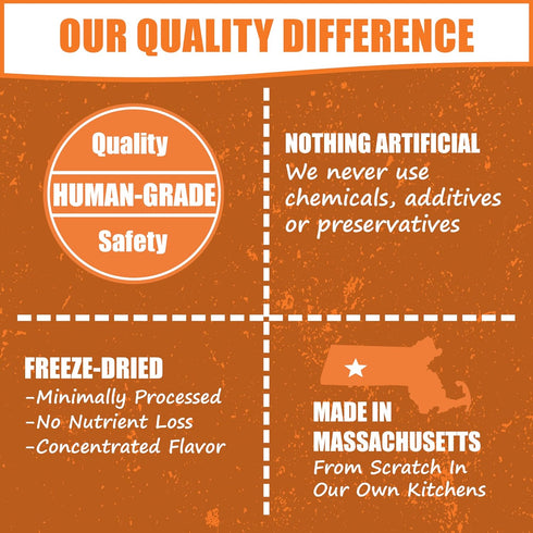 Whole Life Pet Human Grade Probiotic Dog Treats - Pumpkin & Yogurt – Easy Digestion, Made in The USA