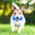 NWK Pet Teether Cooling Chew Toy for Dogs, Teething Toy for Puppies, Chewing Bone