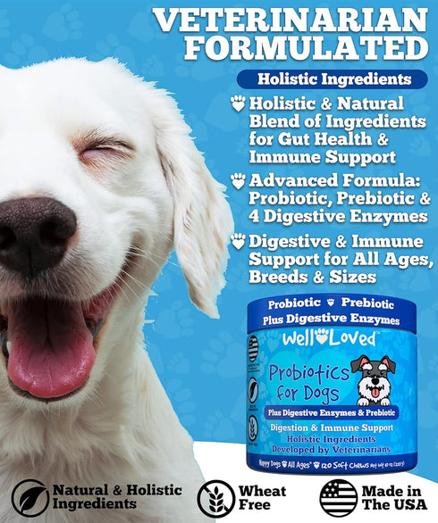Well Loved Probiotics for Dogs, Dog Probiotics, Made in USA, Vet Developed for Gut Health, Yeast Balance, Itchy Skin