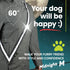 MOONSASH Reflective Sash for Walking at Night, USA-Made, Fitted, Reversible Night Walking Safety Gear for Women & Men