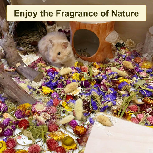 200G Hamster Bedding - Natural Flowers & Herbs for Odor Control in Dwarf Hamster Habitat Decor