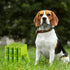 100% 240 Counts Pkpoo Compostable Dog Poop Bags, Extra Wide, Vegetable-Based Large Poop Bags for Dogs, Biodegradable