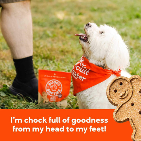 Buddy Biscuits 8 oz Bag, Softies Soft & Chewy Dog Treats with Peanut Butter