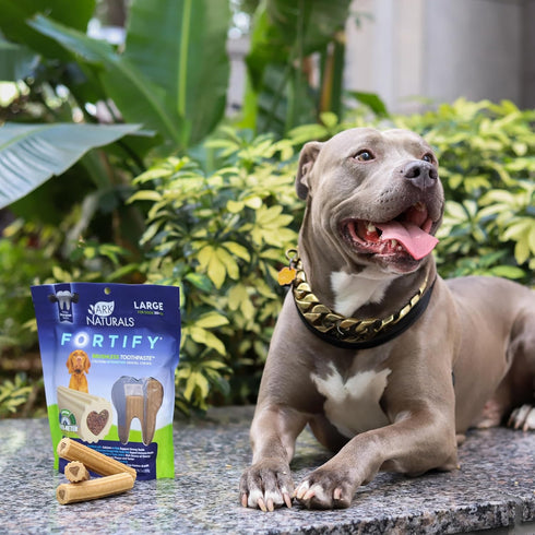 18oz Ark Naturals Fortify Brushless Toothpaste Large Breeds, Bag Dog Dental Chew with Calcium, Omegas & Beef Marrow