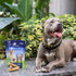 18oz Ark Naturals Fortify Brushless Toothpaste Large Breeds, Bag Dog Dental Chew with Calcium, Omegas & Beef Marrow