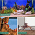 Natural Driftwood for Aquarium Decor, 5 Pieces 4-8" Assorted Branches Fish Tank Decorations