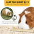 SunGrow Sweet Bamboo Chew Sticks for Rabbits, 100g, Bunny Molar Chew Sticks for Small Animals