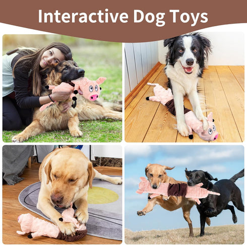 Plush Squeaky Dog Toys for Dogs, Interactive Dog Tug of War Toy for Small/Medium/Large Breed (Pig)