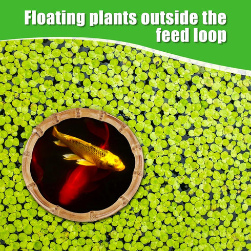 2pcs Aquarium Feeding Rings, Wooden Fish Feeding Rings for Floating Plants in Fish Tanks and Aquariums