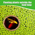 2pcs Aquarium Feeding Rings, Wooden Fish Feeding Rings for Floating Plants in Fish Tanks and Aquariums
