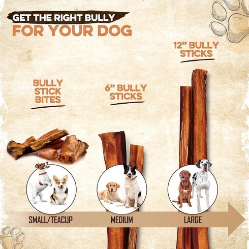BRUTUS & BARNABY Bully Sticks for Large Dogs - (5-Pack) Grain Free, Low Odor, 12" Bully Bones