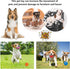 Squeaky Dog Toys, Funny Face Chewing Latex Rubber Fetch Play Balls for Puppy Small Medium Pet Dog (6PCS)