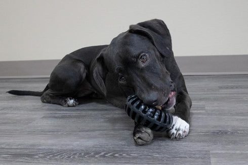 Starmark Everlasting Treat Wheeler Dog Toy, Small